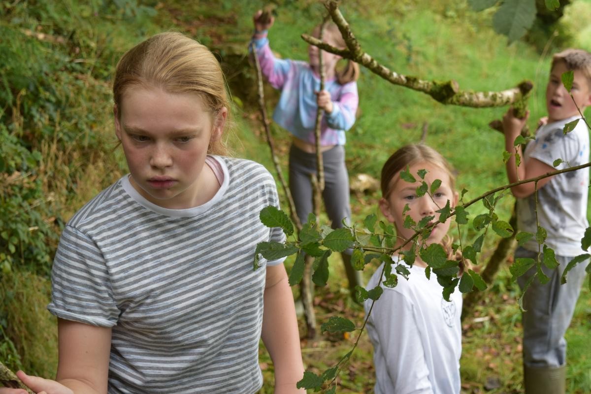 September 2023 Wild Tribe