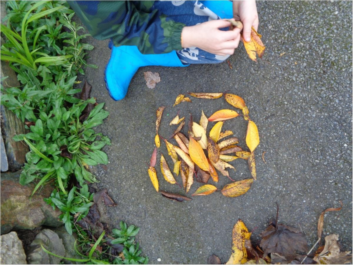 Children gathered leaves from thee school grounds to make pictures. 