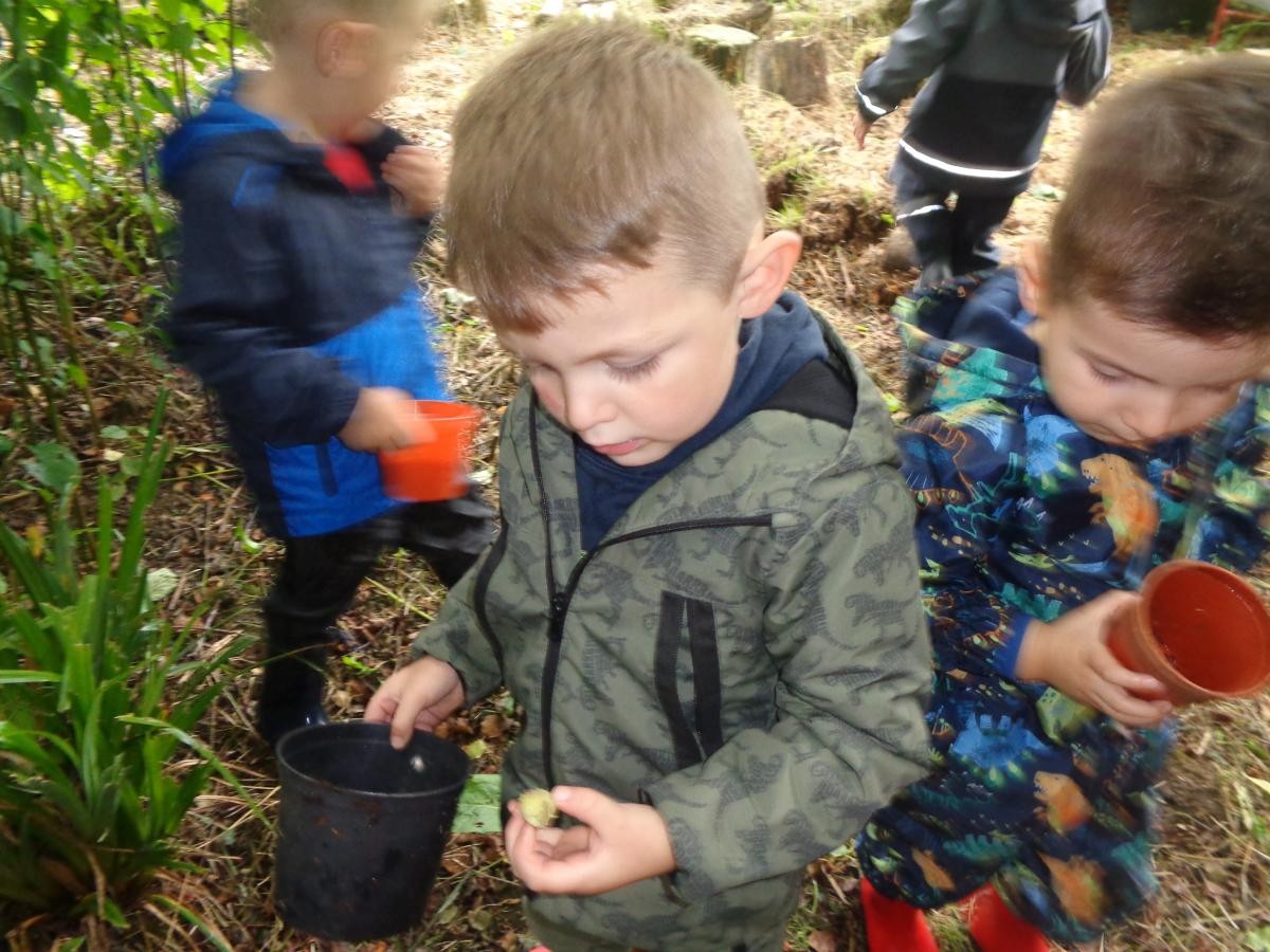 Jacob found a hazelnut.