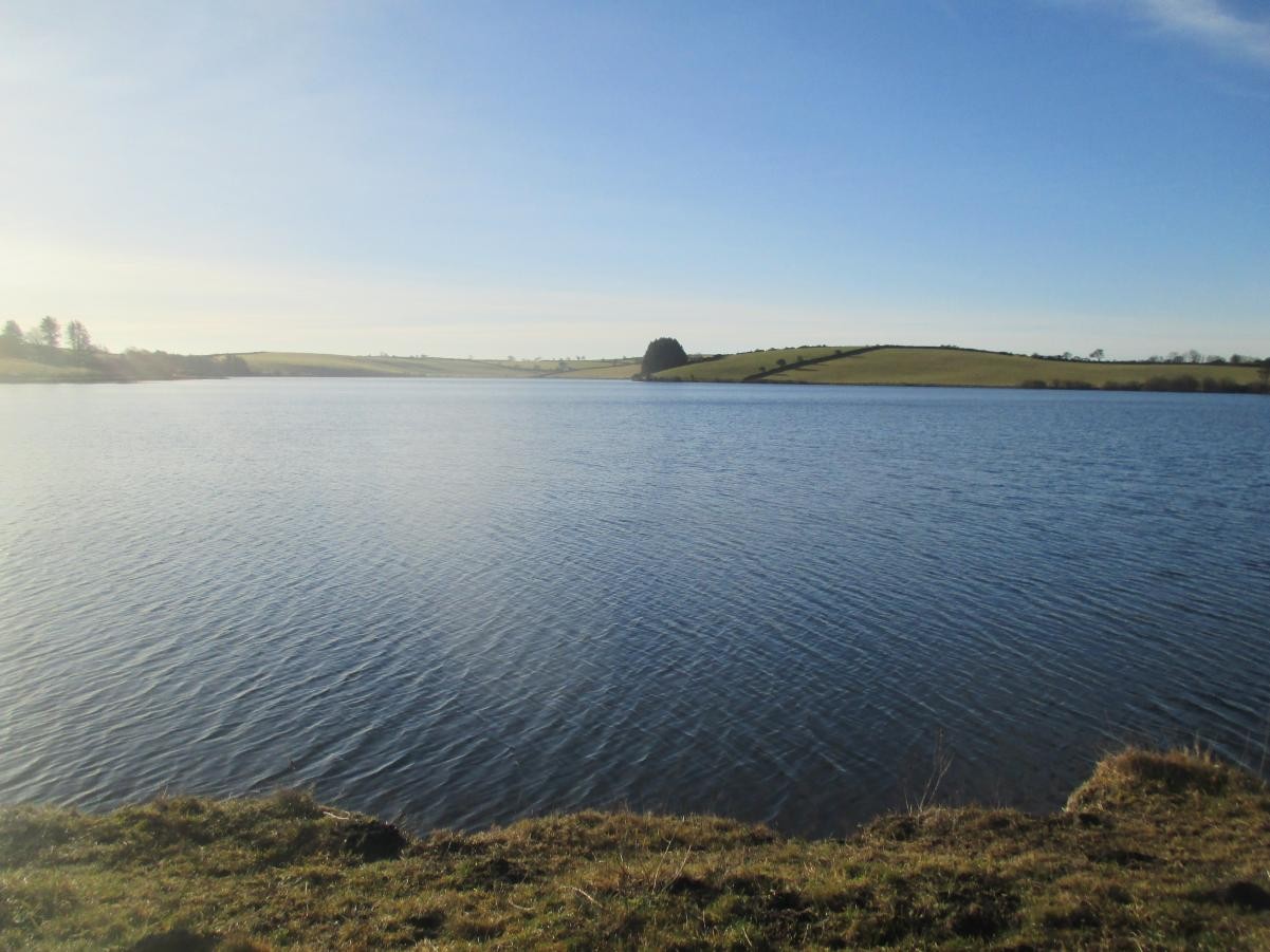 It was a beautiful morning.