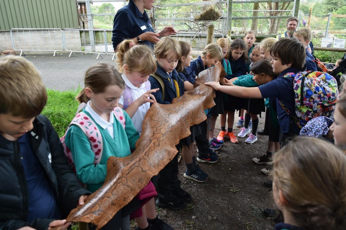 Paignton Zoo September 2023