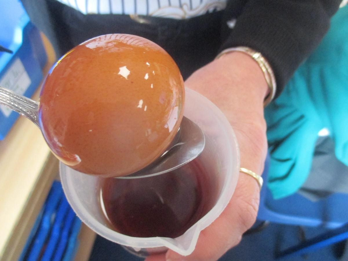 Science - tooth decay investigation