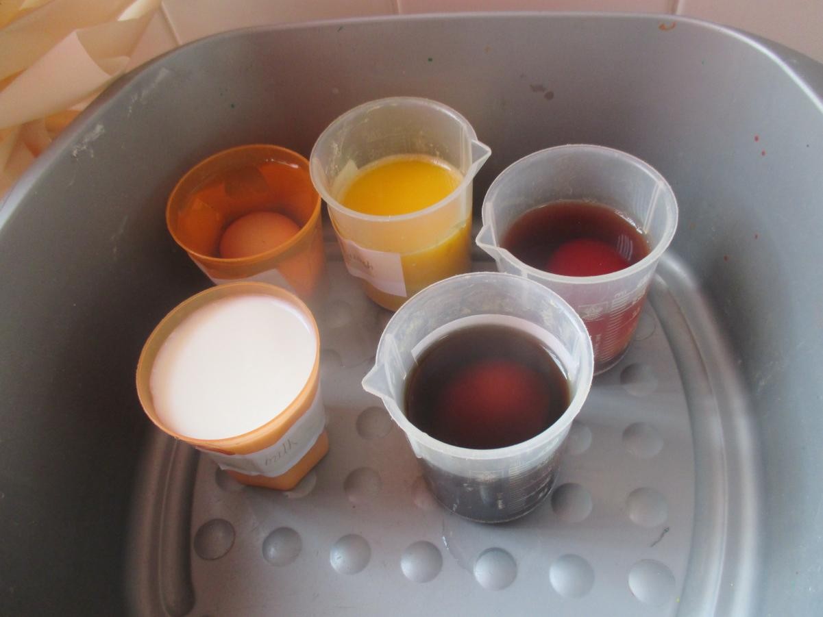 Science - tooth decay investigation