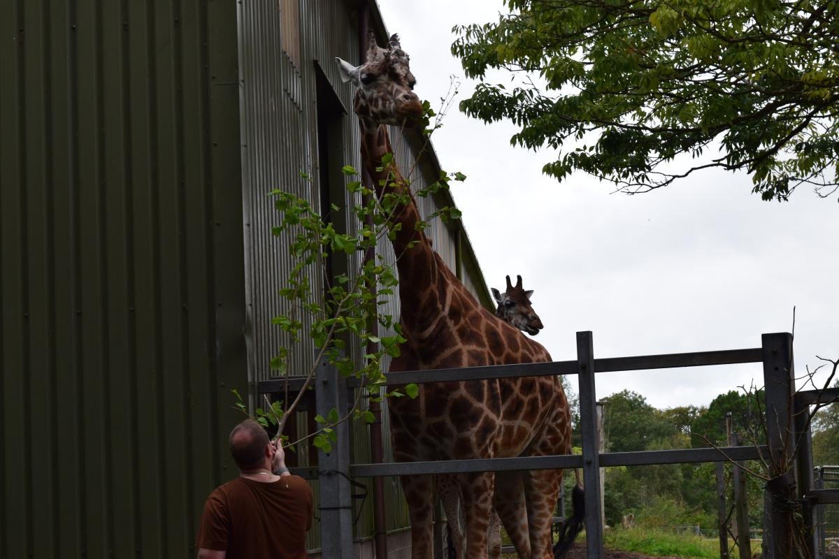 Paignton Zoo September 2023