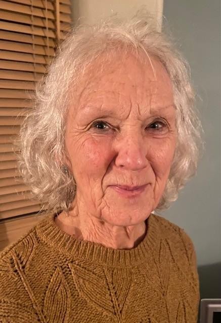 Mrs Sue Robbins - Co-opted