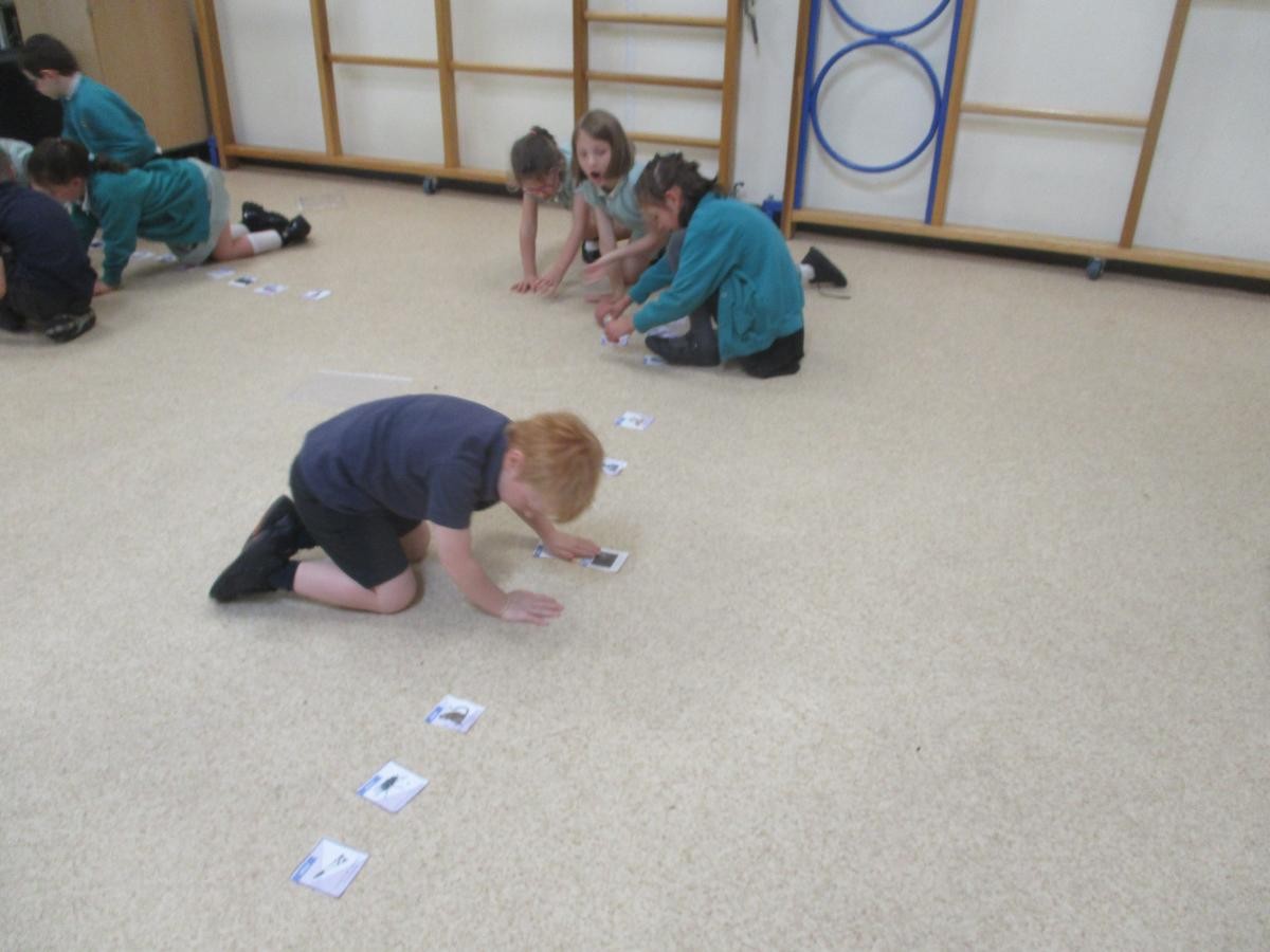 Loveny worked on a space timeline 