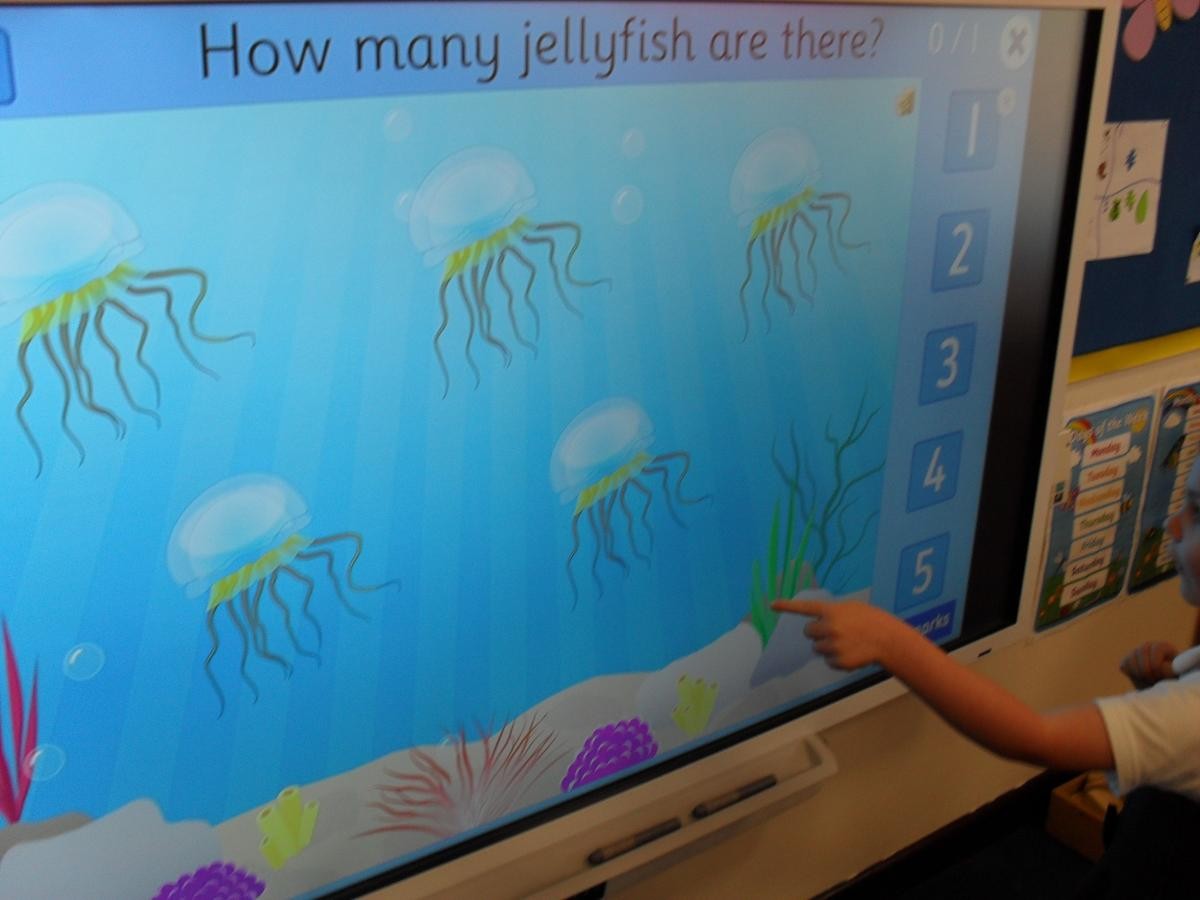 The interactive whiteboard is a useful tool to help us learn.