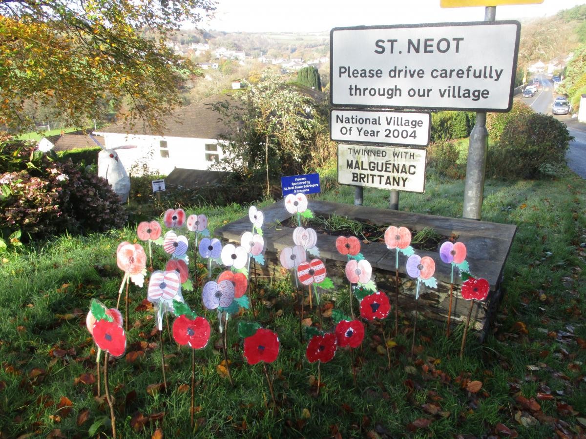 Taking part in village commemorations for Remembrance Day