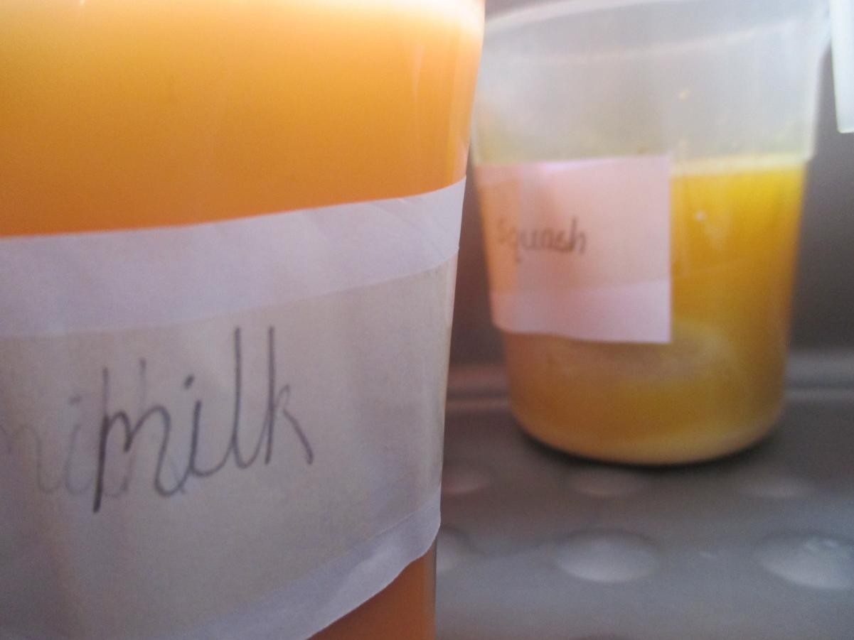 Science - tooth decay investigation