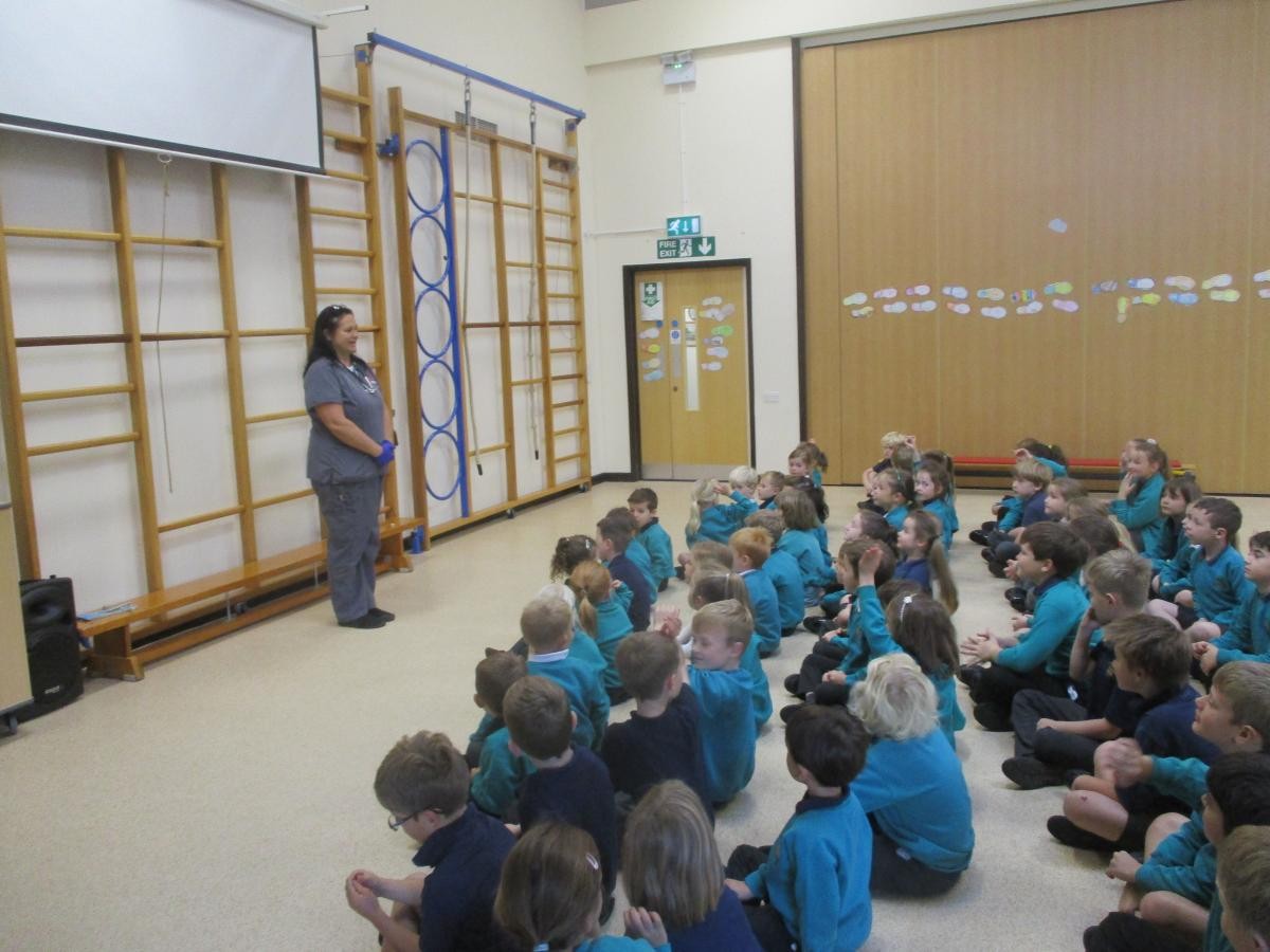Learning all about the job of a veterinary nurse and how to become one.