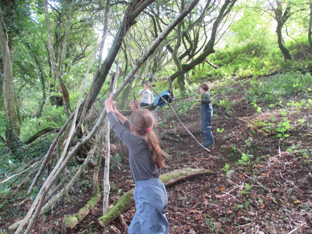 We love working together in Wild Tribe.