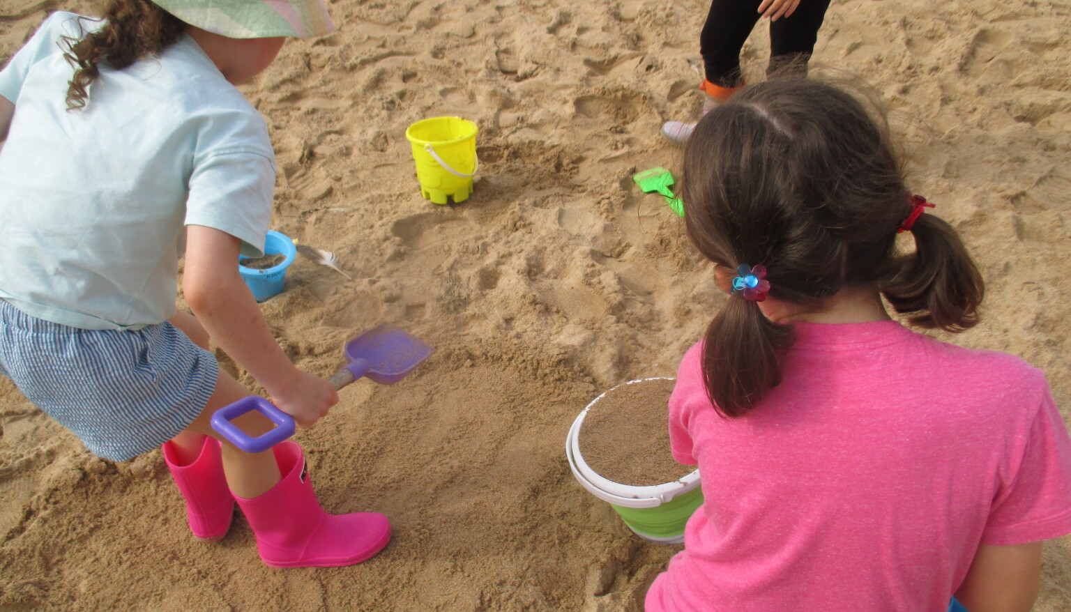Wildtribe at the beach
