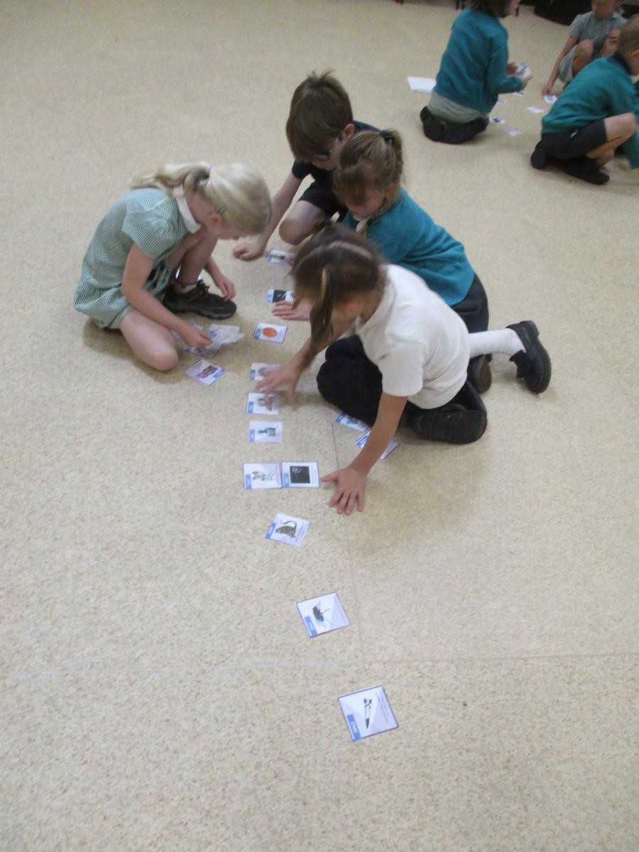 Loveny worked on a space timeline 