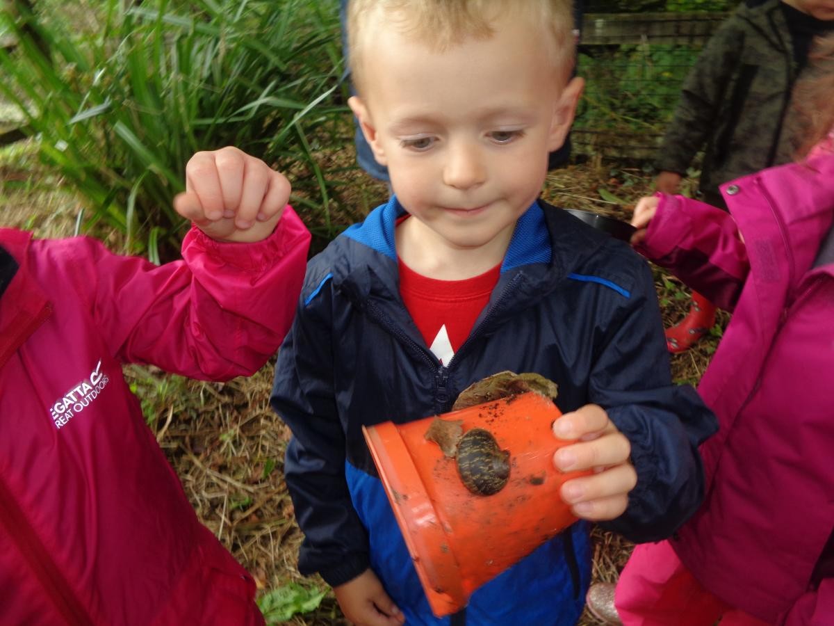 Reggie found a snail stuck to a plant pot.