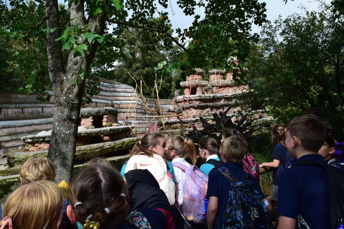 Paignton Zoo September 2023