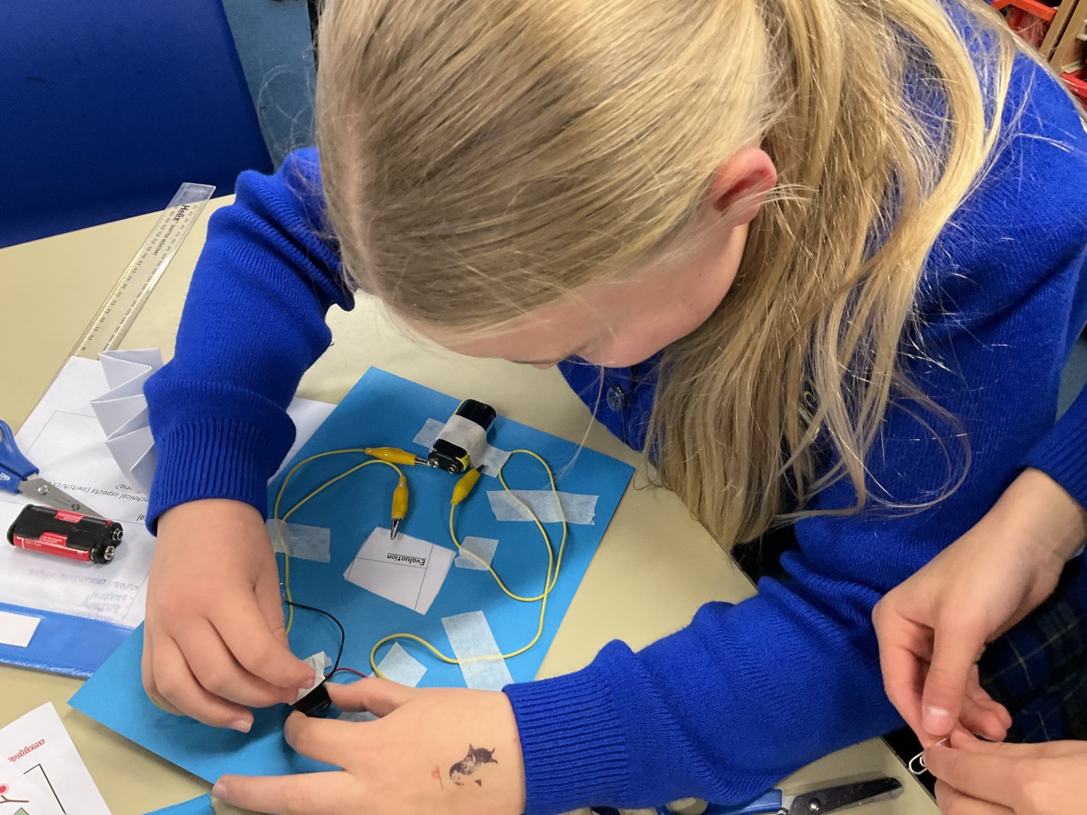 Science: Electrical Systems