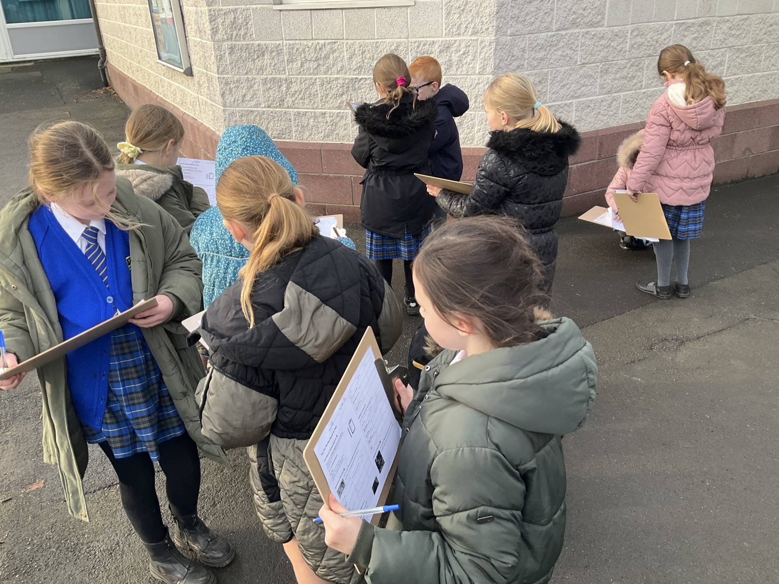 Collecting research - Tally Charts