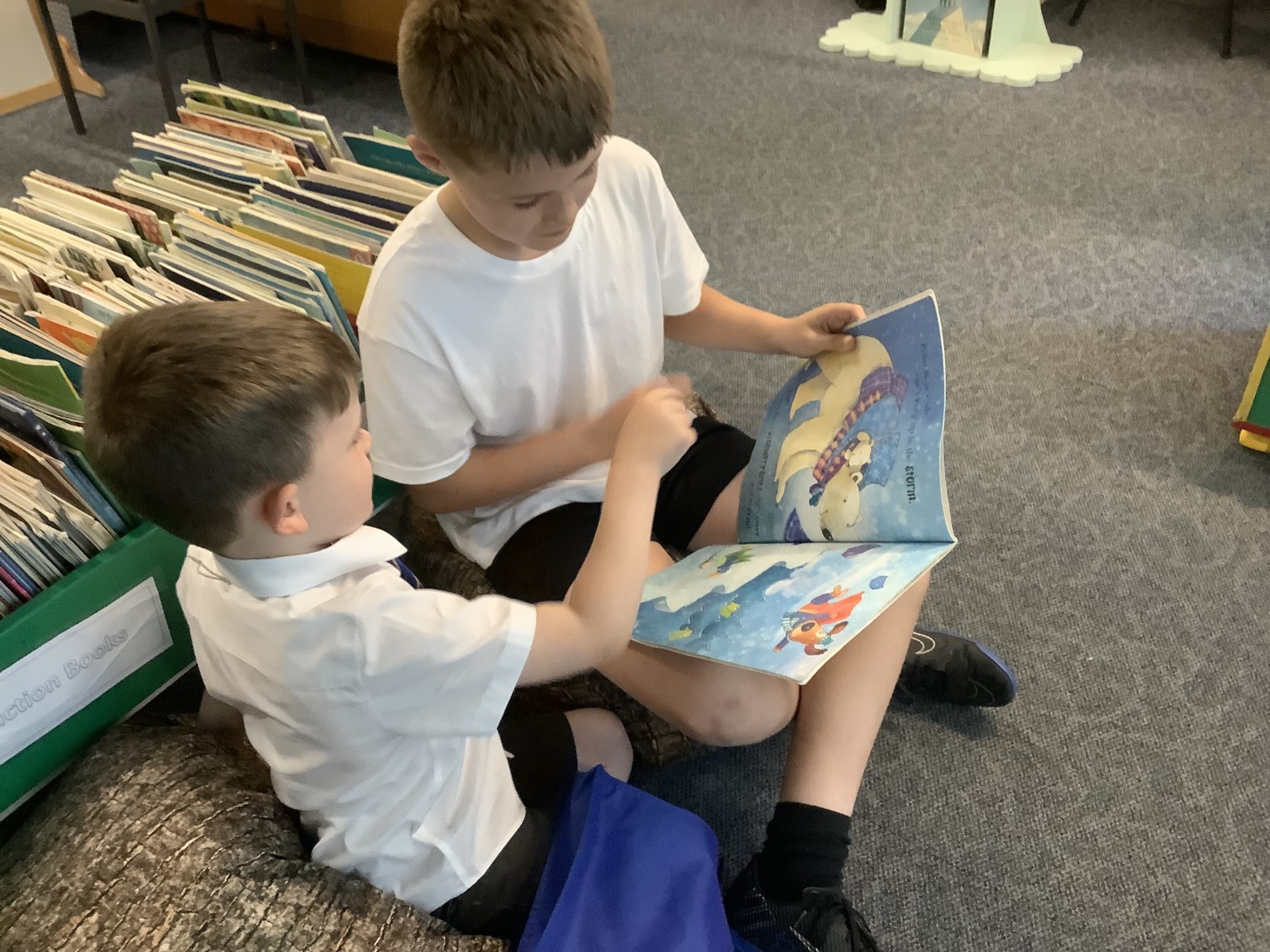  Buddy Reading