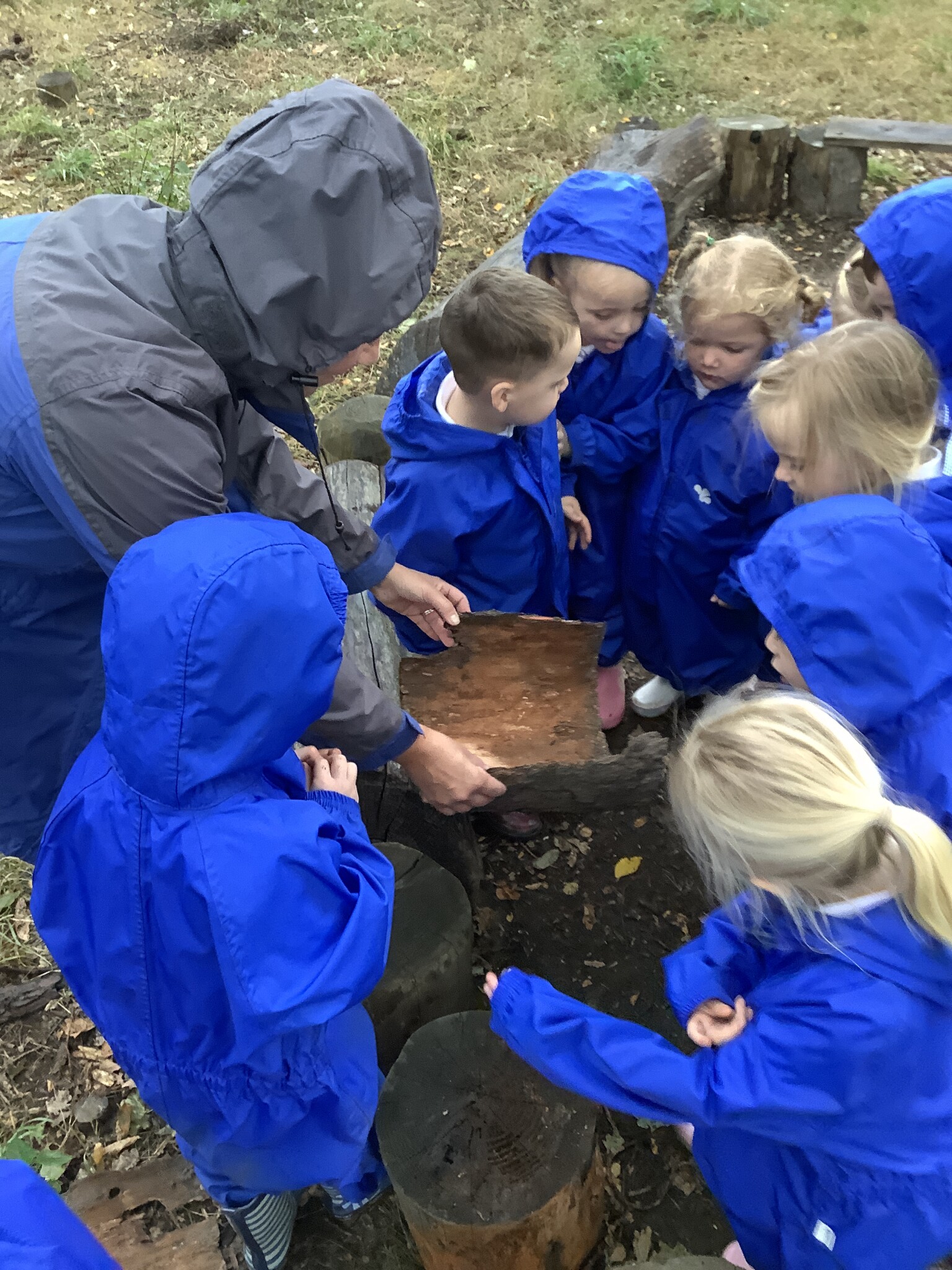 Bug hunting in the forest school