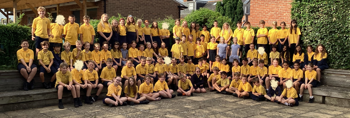 Year 5 and 6