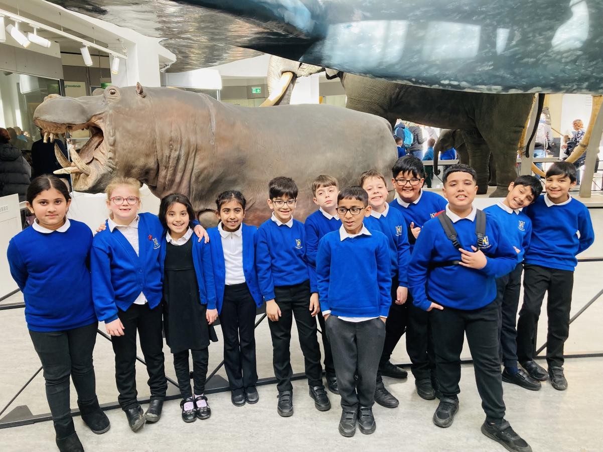 Year 3 Natural History Museum 
