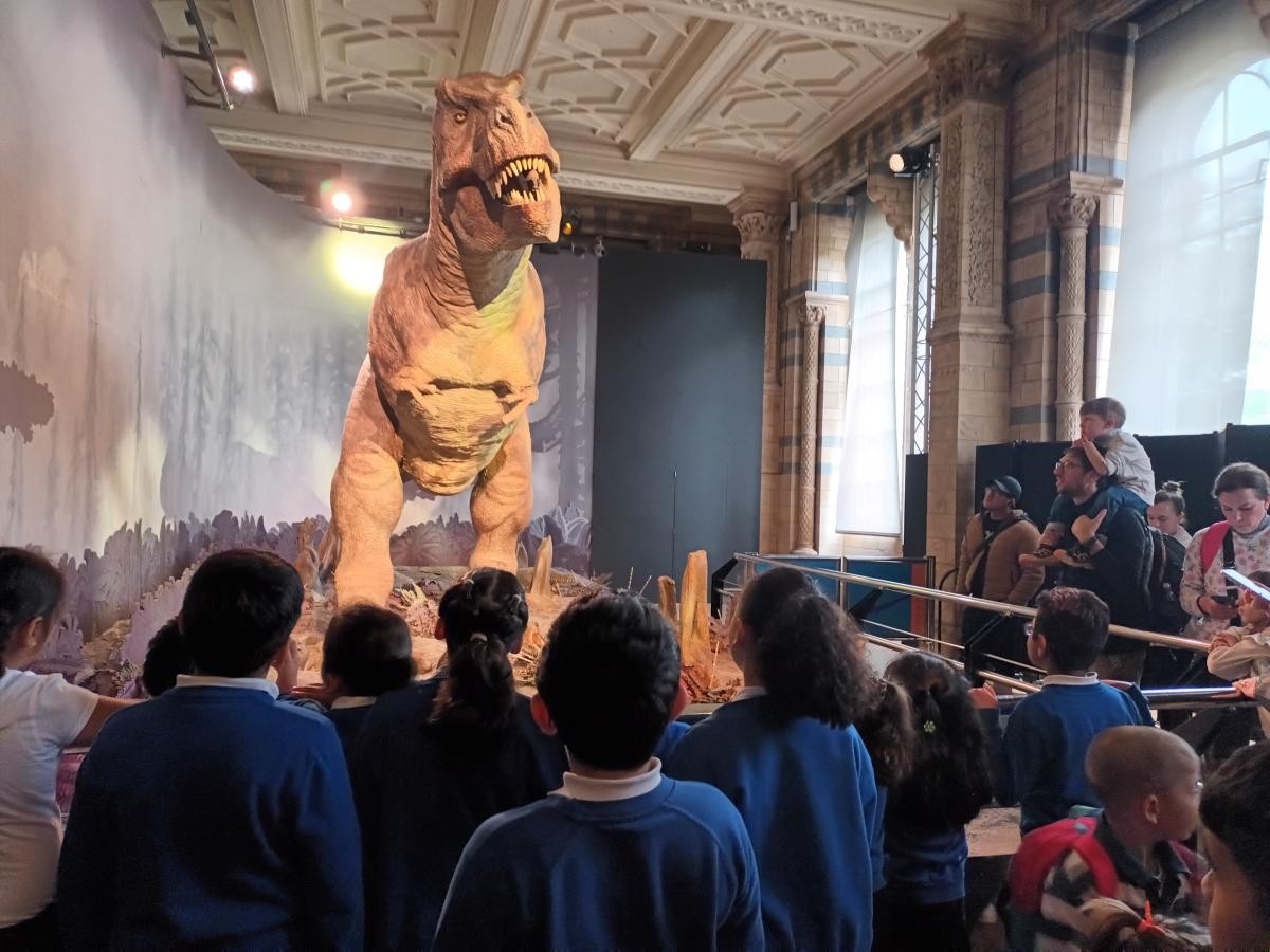 Face-to-face with the Tyranosaurus Rex