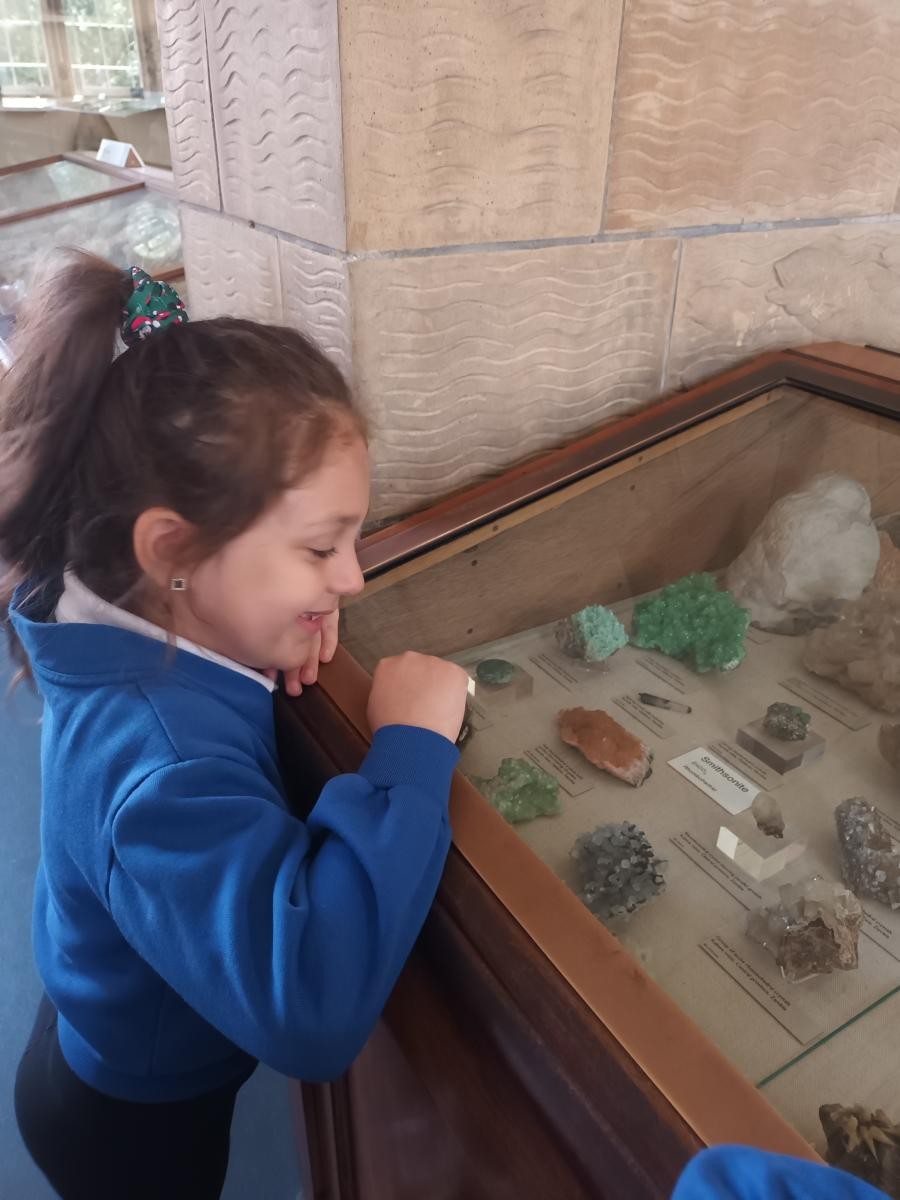 Admiring the rocks and minerals