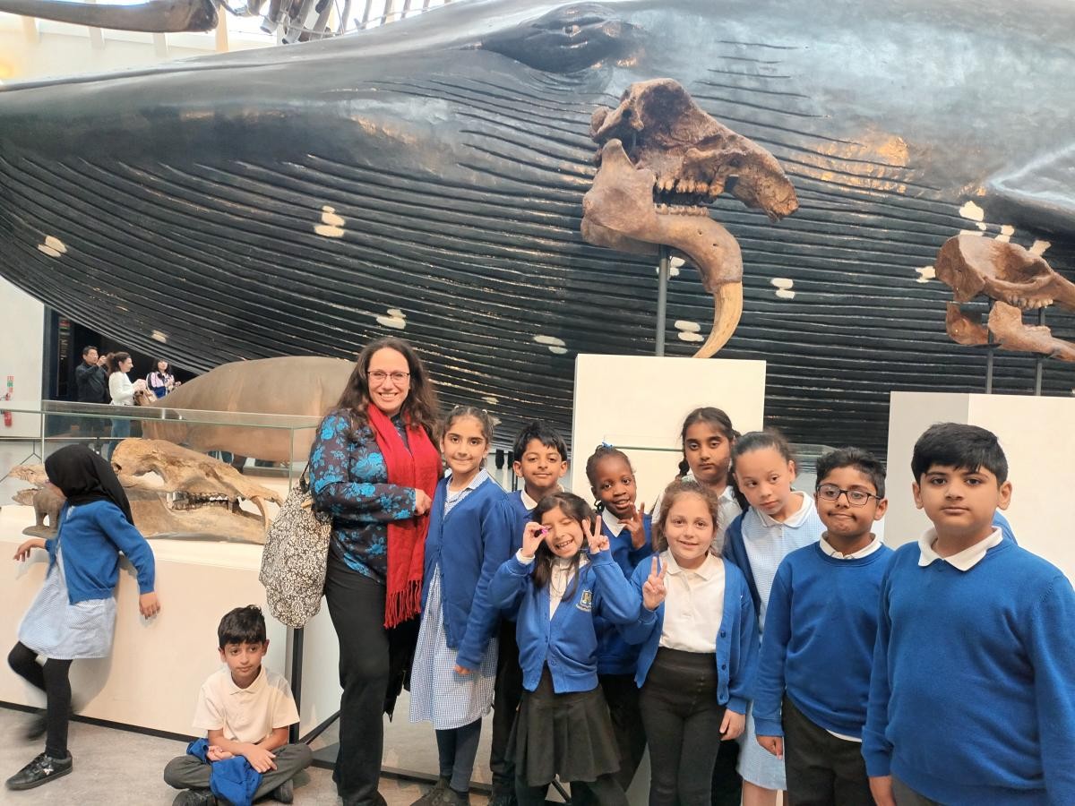 Marvelling at the size of the blue whale