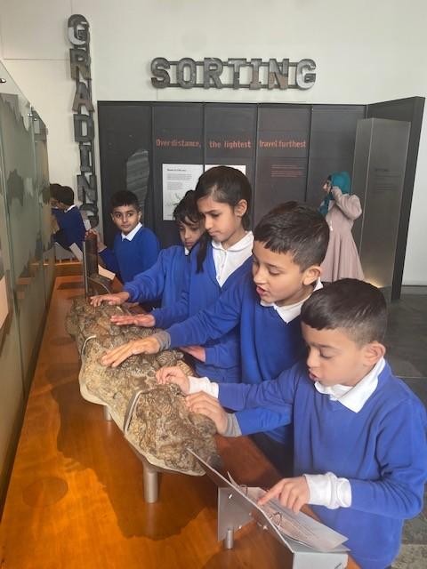 Year 3 Natural History Museum