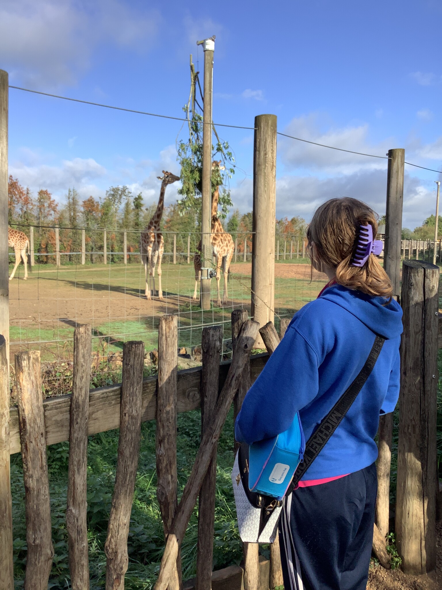 Zoo