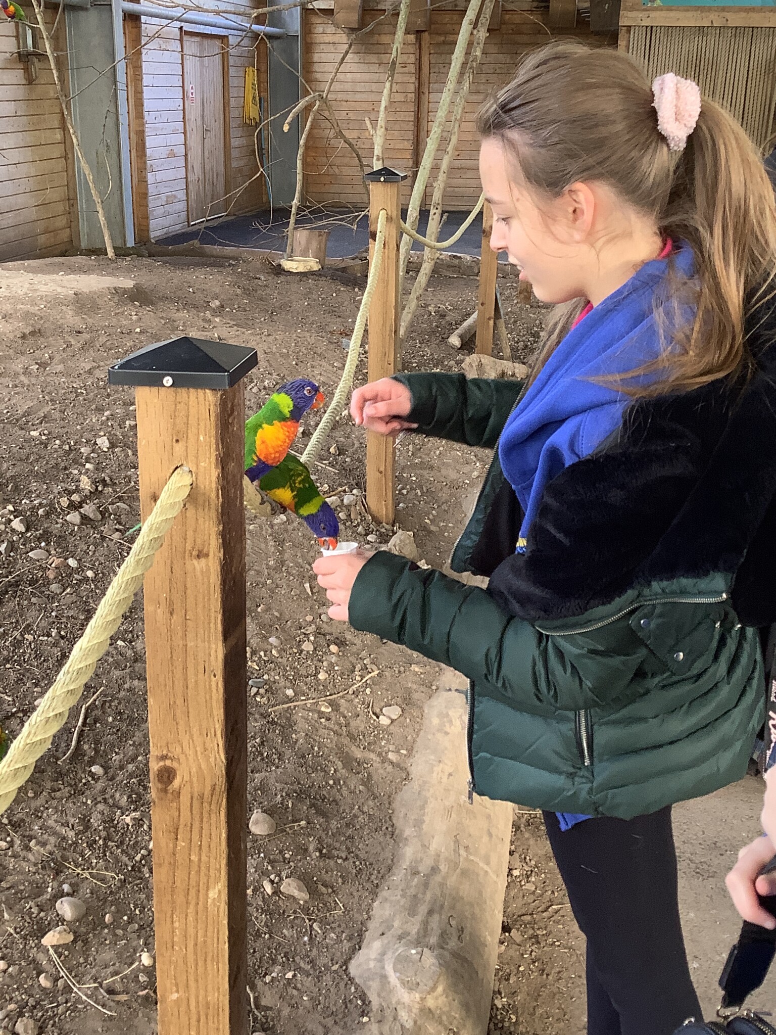 Zoo