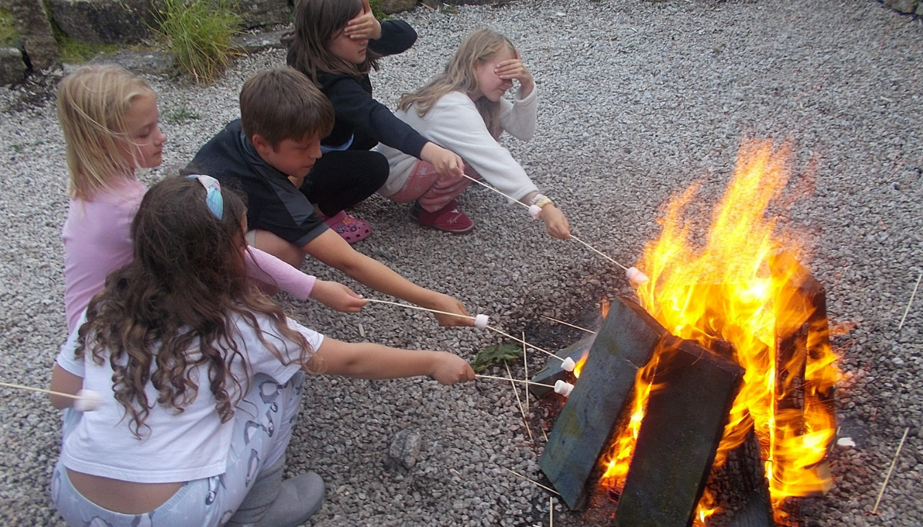 Fire pit 2