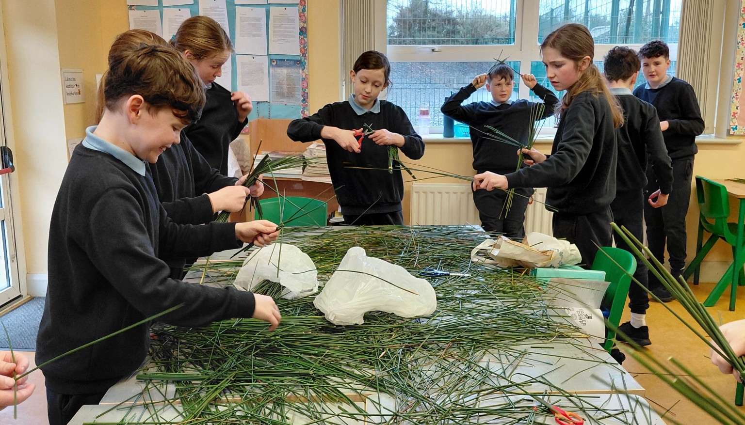 St Brigid's Cross Making 