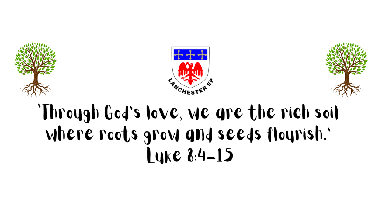 Bible Quote