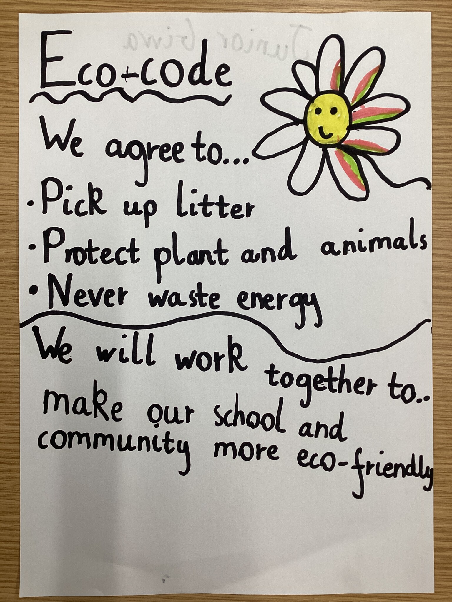 We have made an eco-code and we have all agreed to help our school and communinity to be more eco-friendly. 