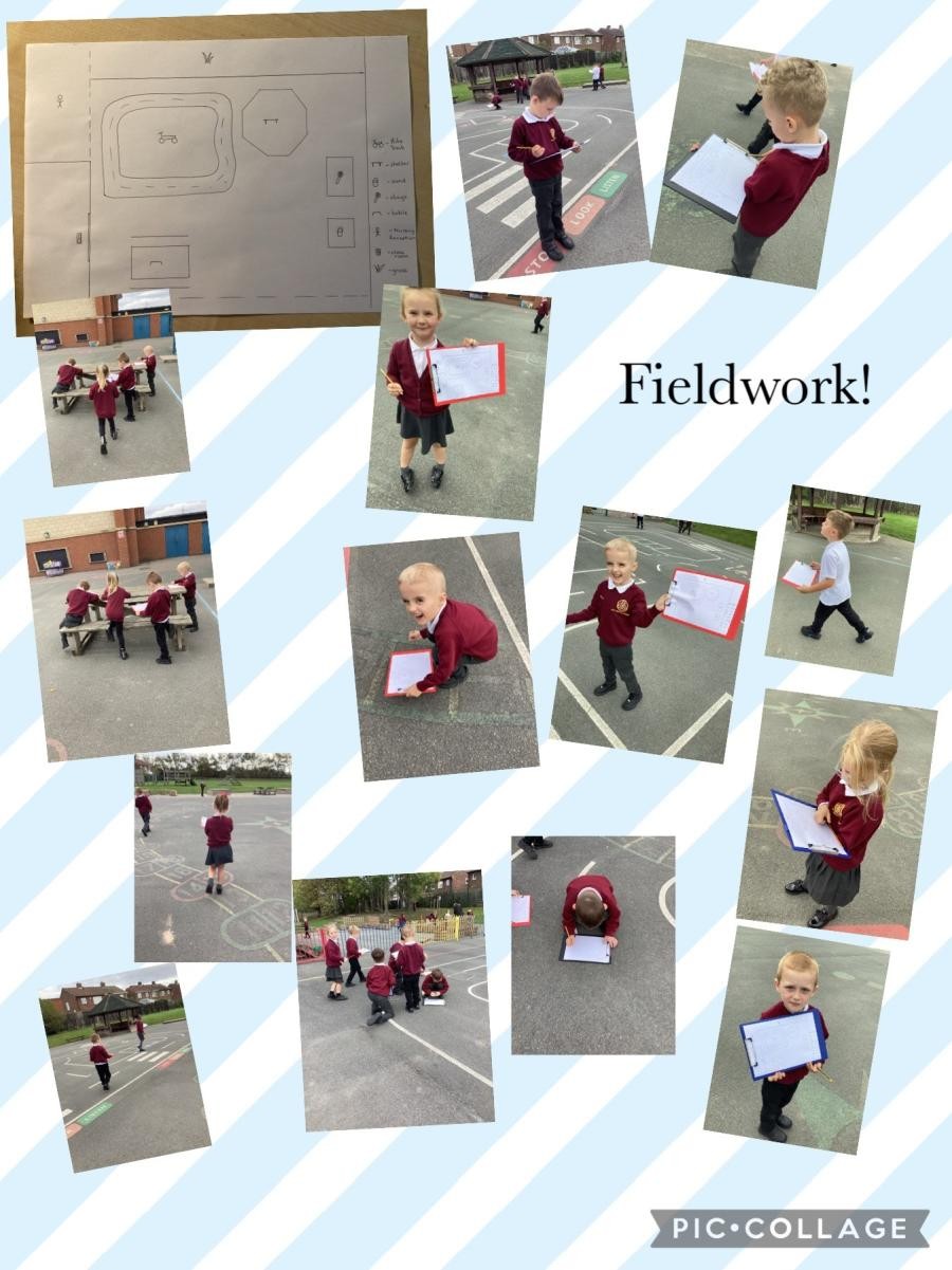 Map skills - fieldwork! 