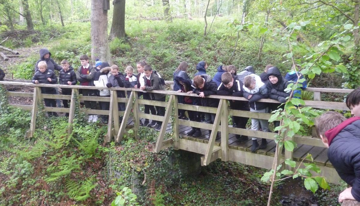 Children looking over a bridge 