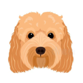  Phoebe 