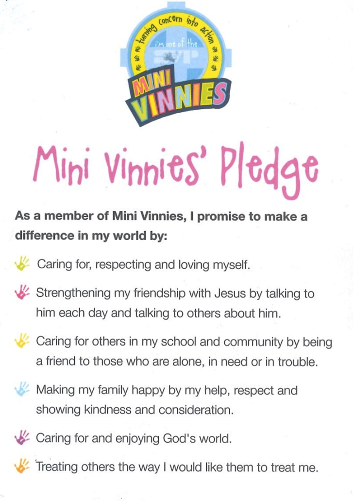 mini vinnie's pledge