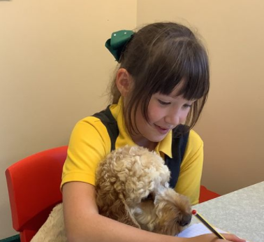 Learning with our school dog, Ziggy. 