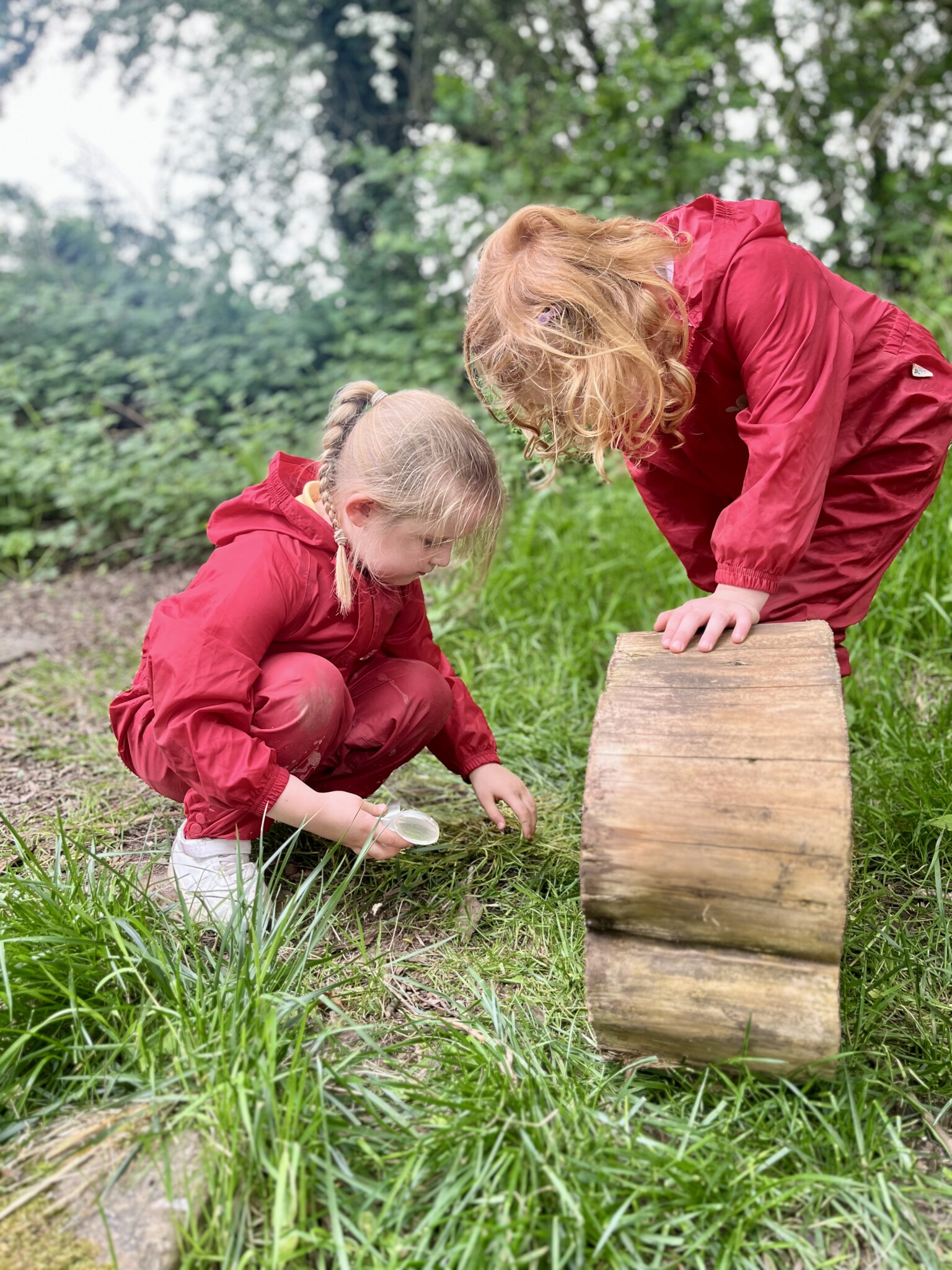 Forest School Bug Hunting