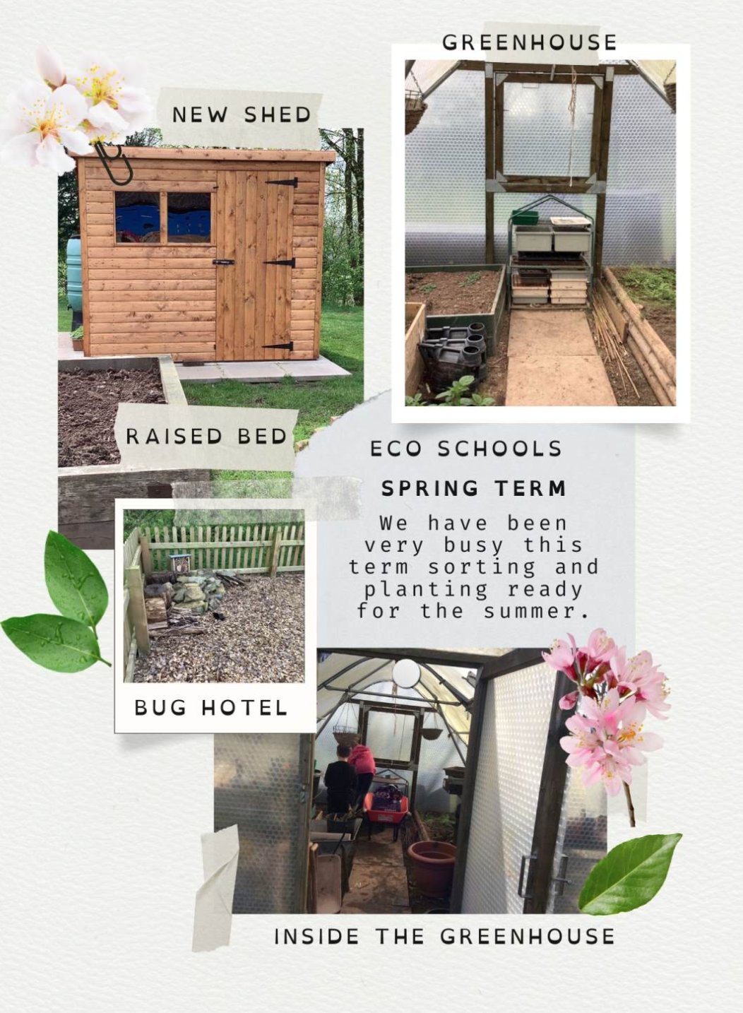 Eco-Schools