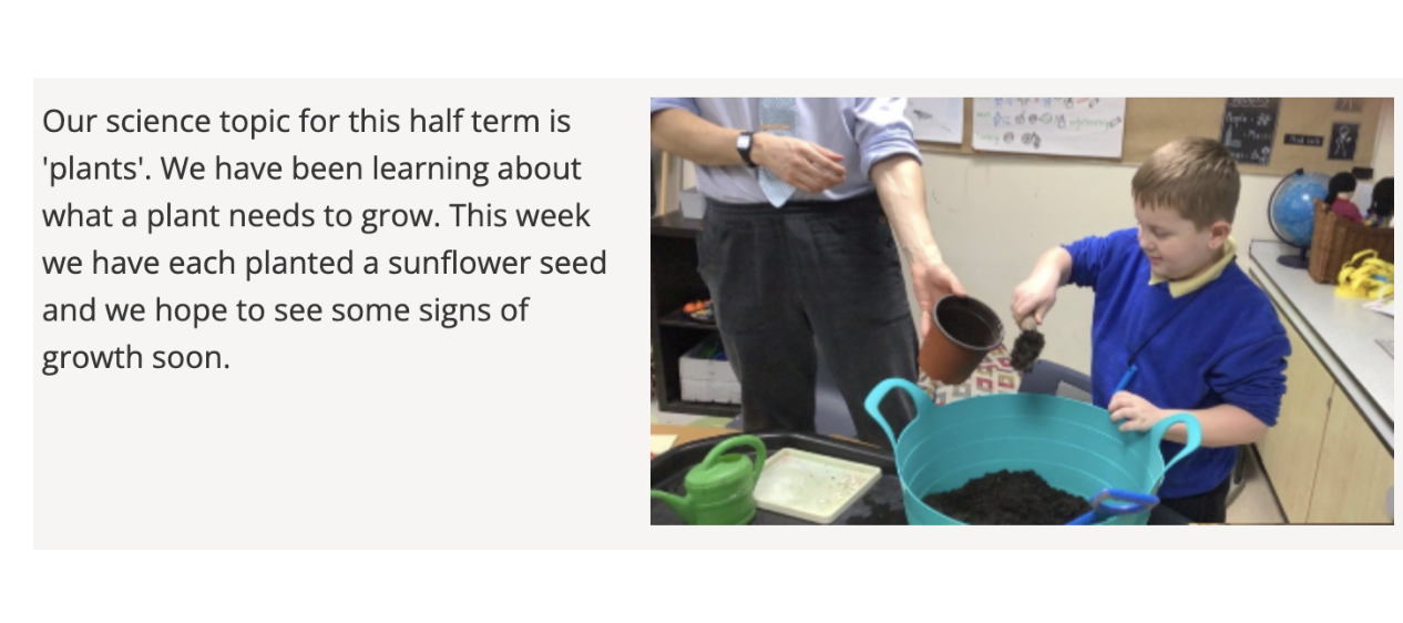 Pupils learning about plants