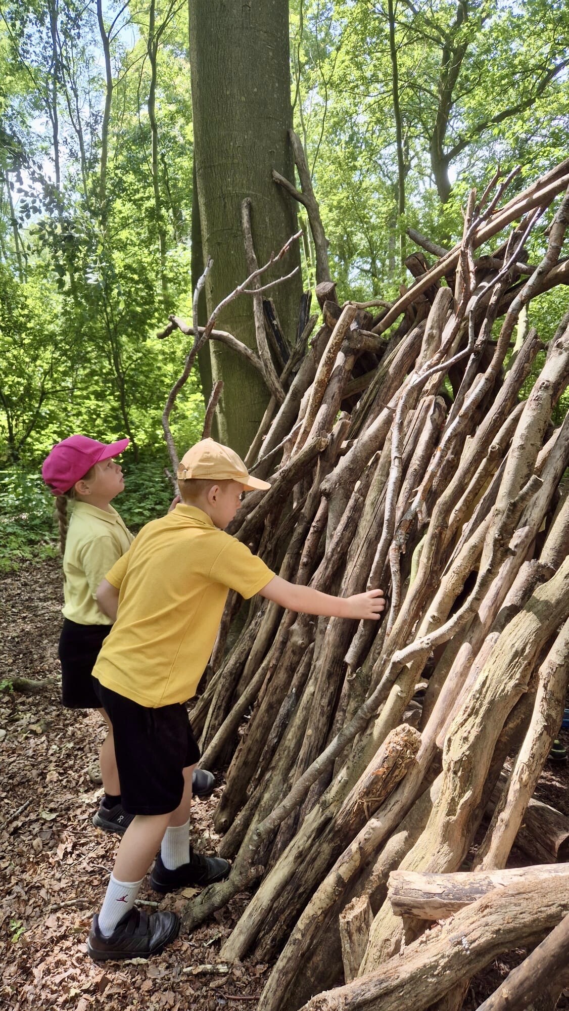 Den Buillding