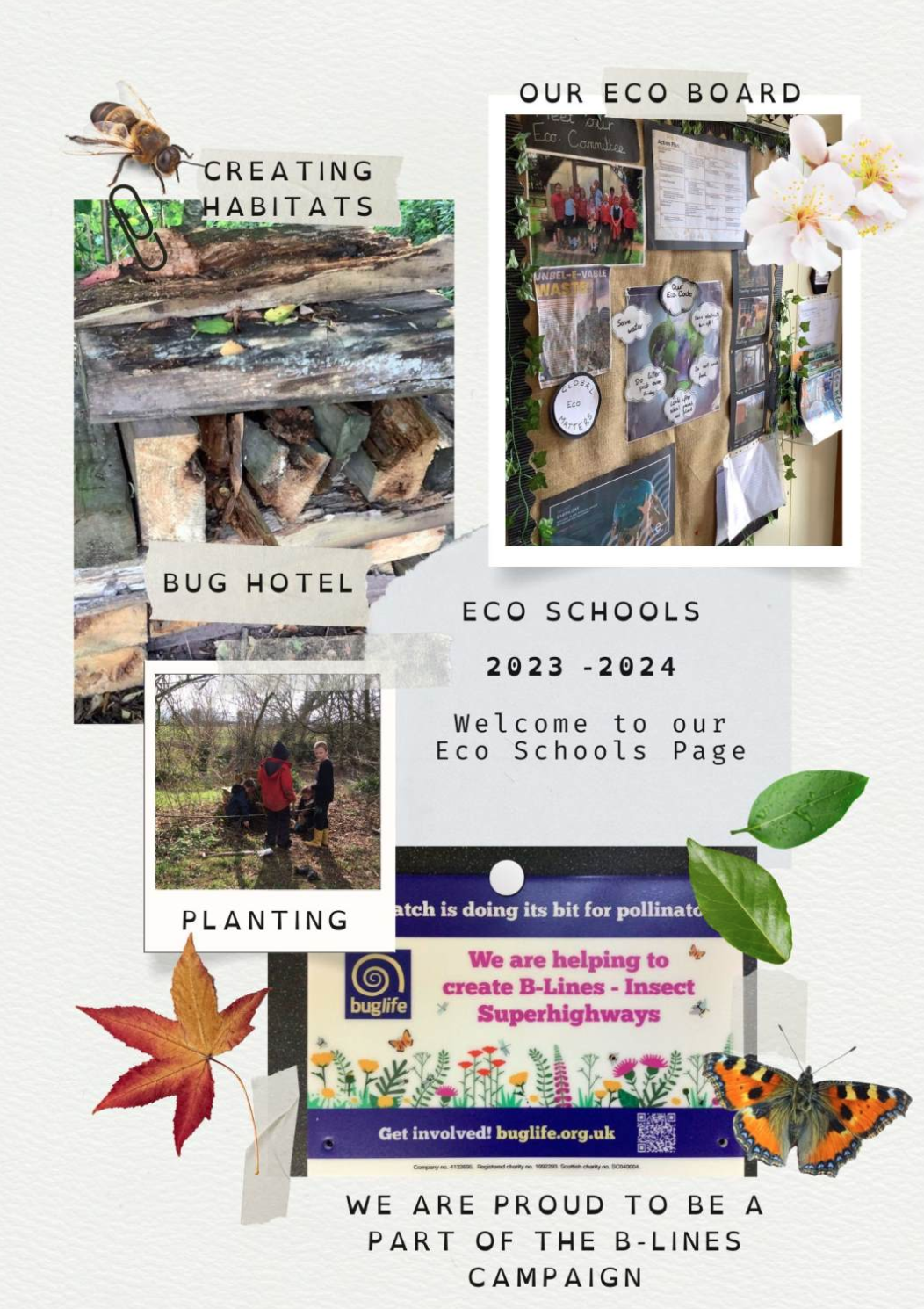 Eco-Schools Shobden