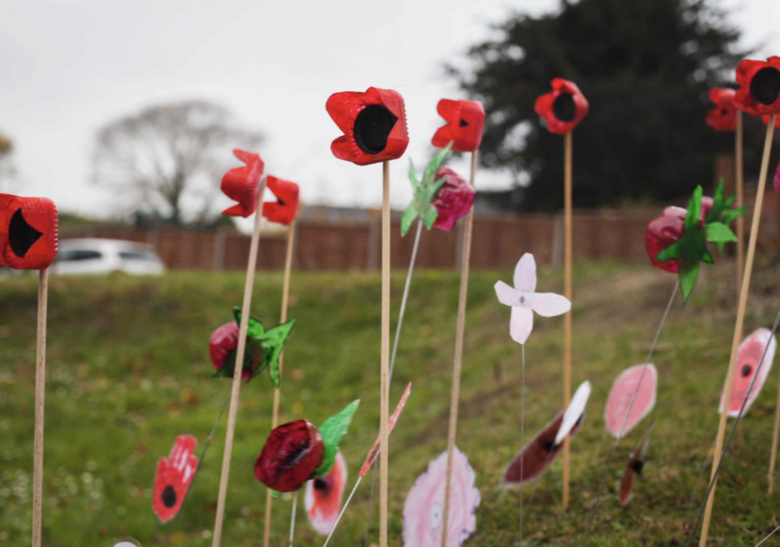 Crafted poppies in a field