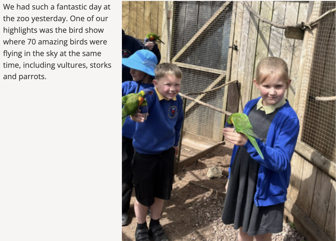Willow class visit Wild Zoo
