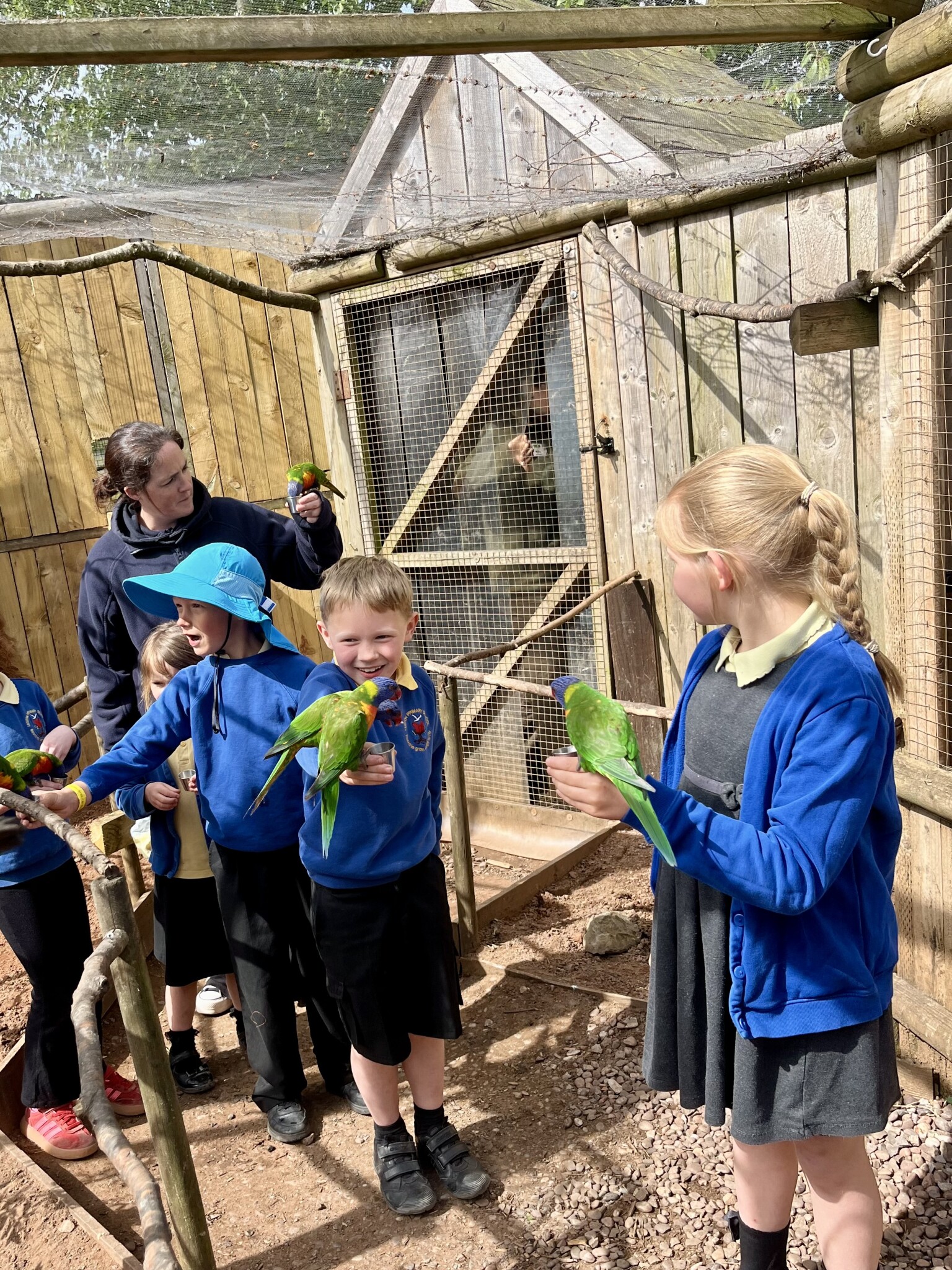 Children holding colourful birds at a zoo