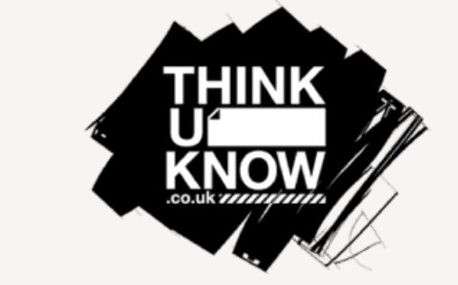 https://www.ceopeducation.co.uk/8_10/