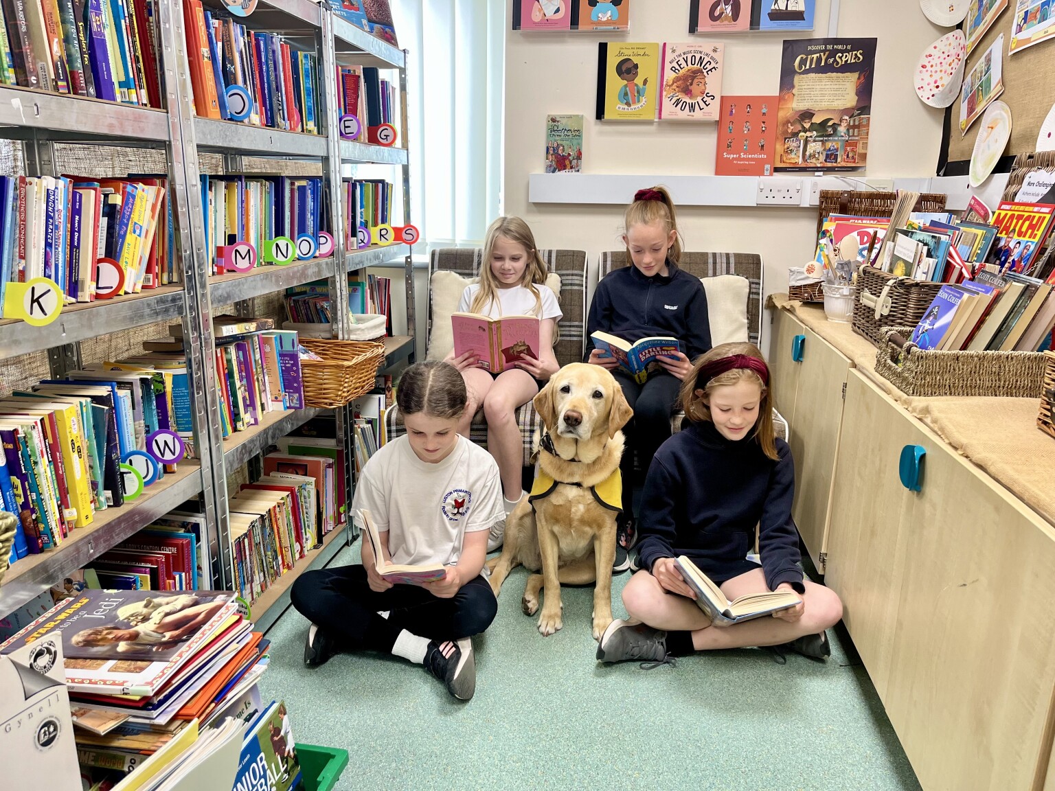 Therpay dog listens to a group opf children reading in a school library